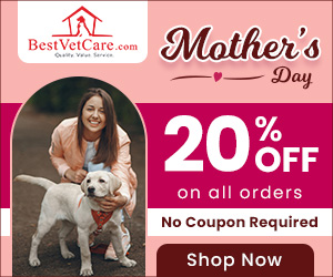 Crazy Black Friday Deals 2025 - 30% Off